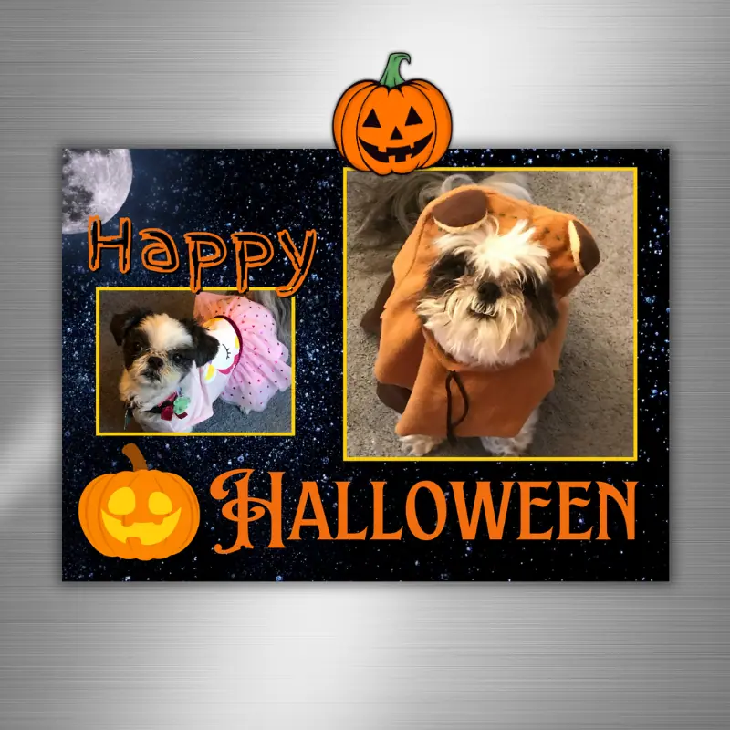 Happy Halloween Photo card on fridge