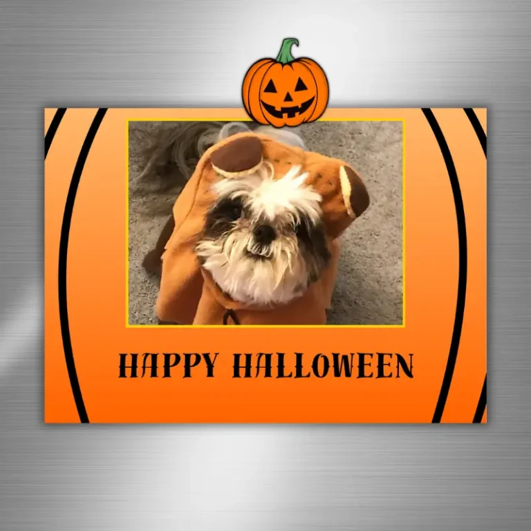 Jack o lantern halloween photo card on fridge