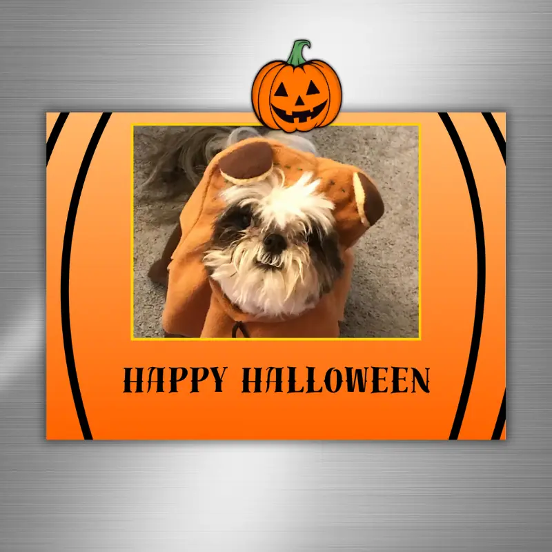 Jack o lantern halloween photo card on fridge
