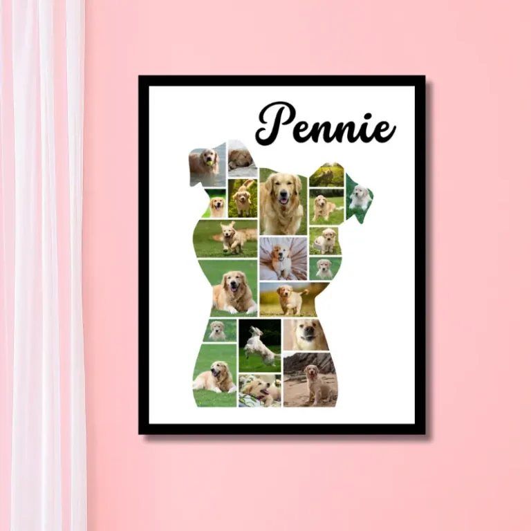 Dog photo collage on wall