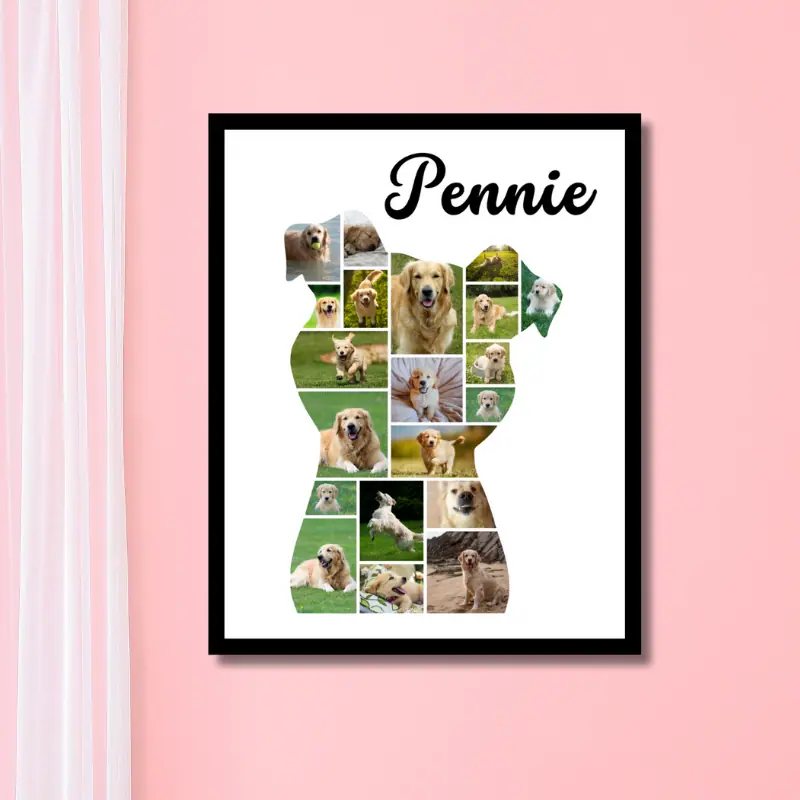 Dog photo collage on wall