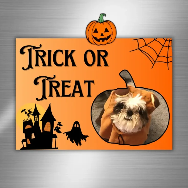 Trick or treat halloween photo card on fridge