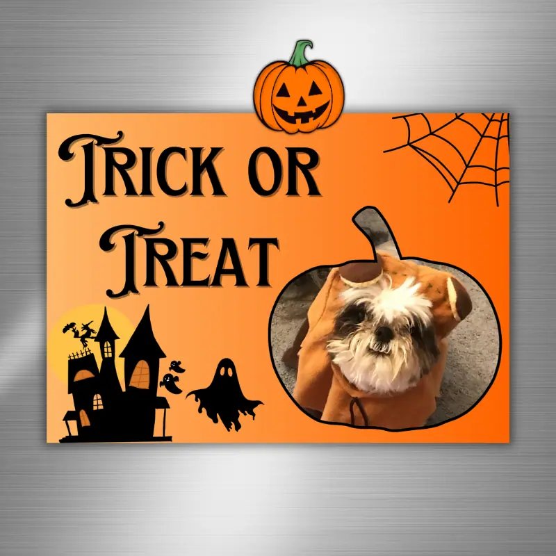 Trick or treat halloween photo card on fridge