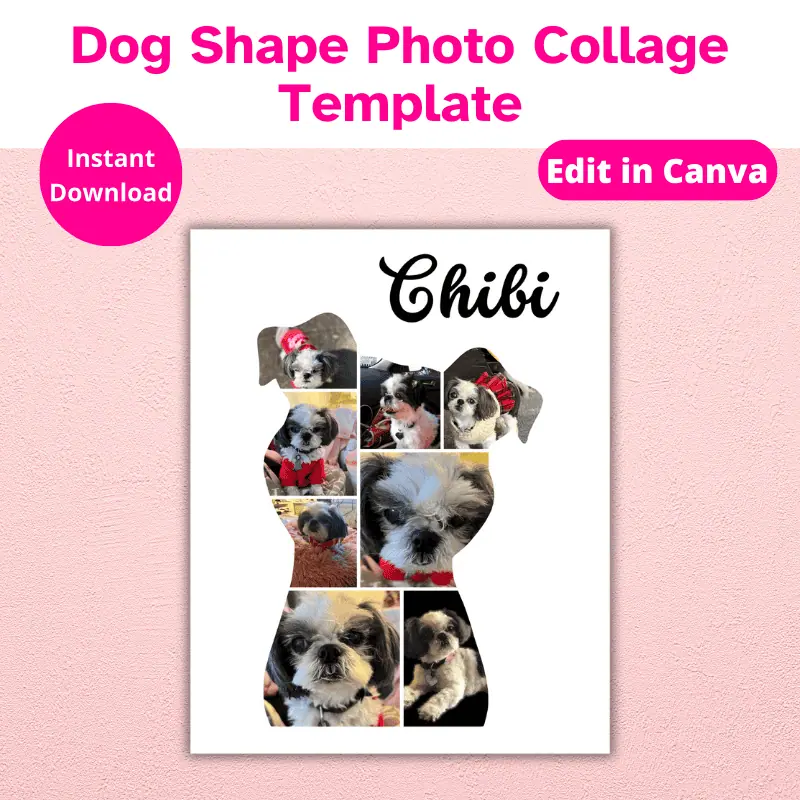 A photo collage on the shape of a dog filled with photos of an adorable black and white shitzu hanging on a warm pink wall. The collage has the name chibi written at the top. Dog shaped photo collage template, instant download