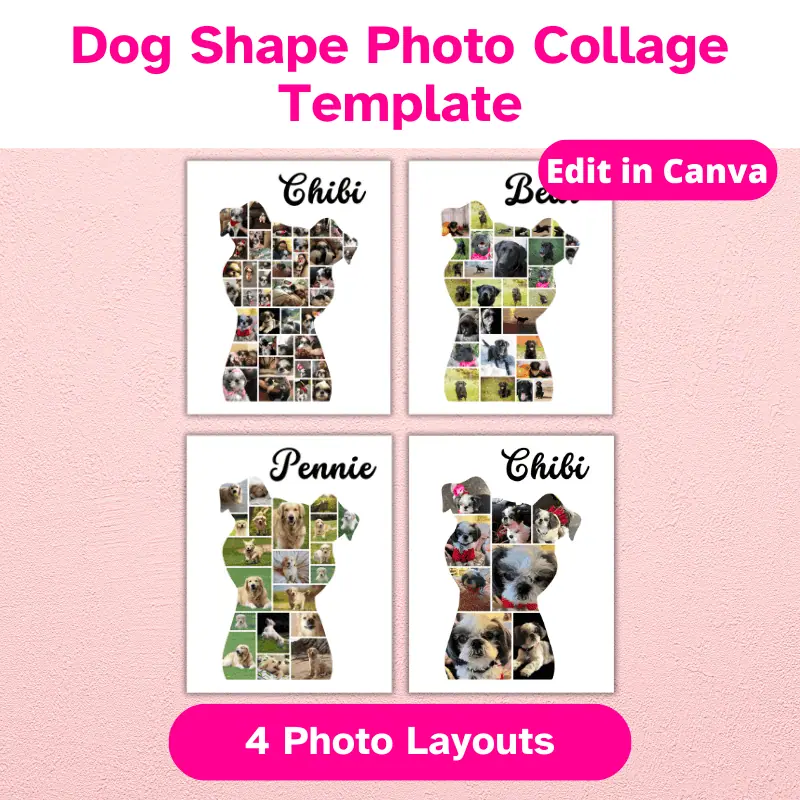 Dog photo collage (2)