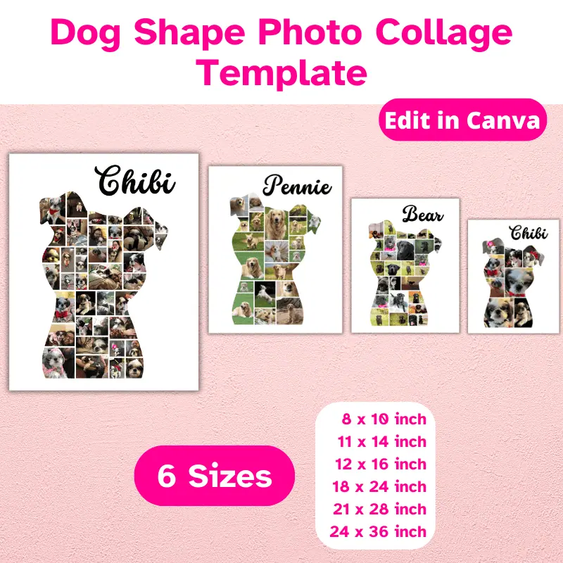 Dog photo collage (3)