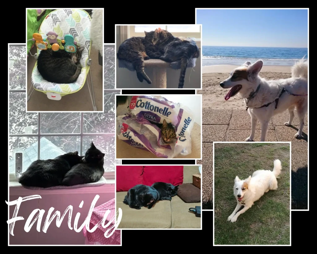 a photo collage with 7 photos of family cats and dogs with white lines against a black background and the word family written in white script accross the bottom left.