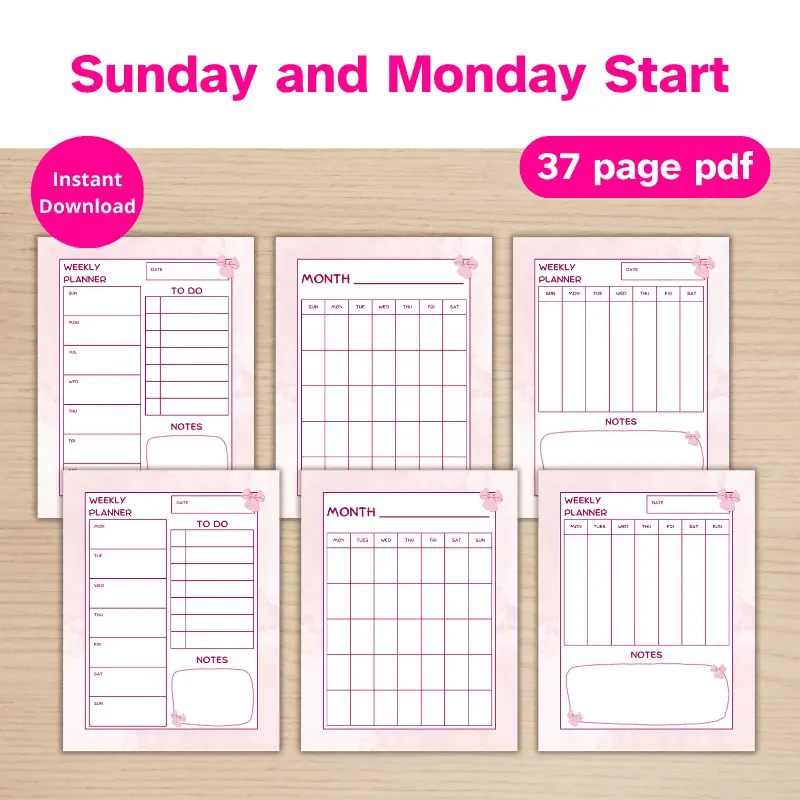 Coquette Planner Listing (4)