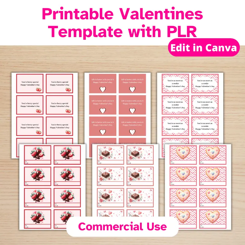 Mini Printable Valentines with PLR (4)
